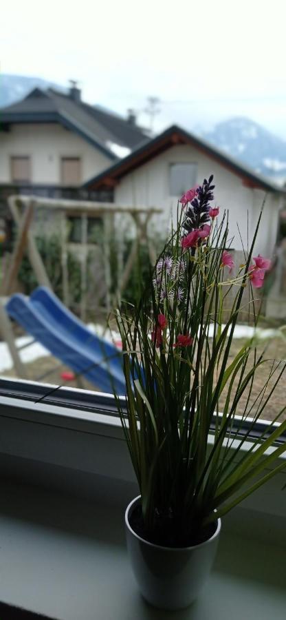 格赖芬堡Haus Elli公寓 外观 照片